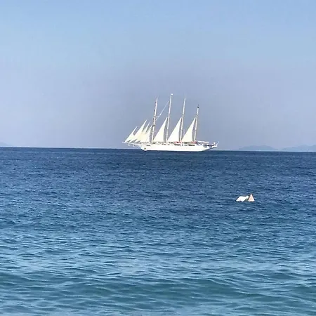 Beach Side Apart I *